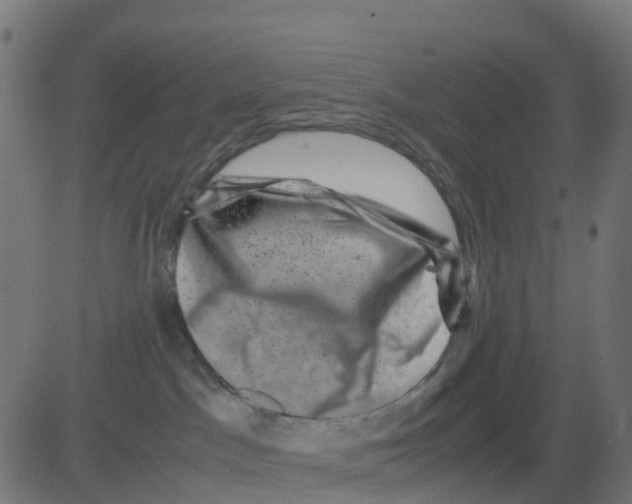 X0000081410045200702092120