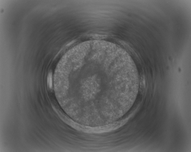 X0000081410046200702092120