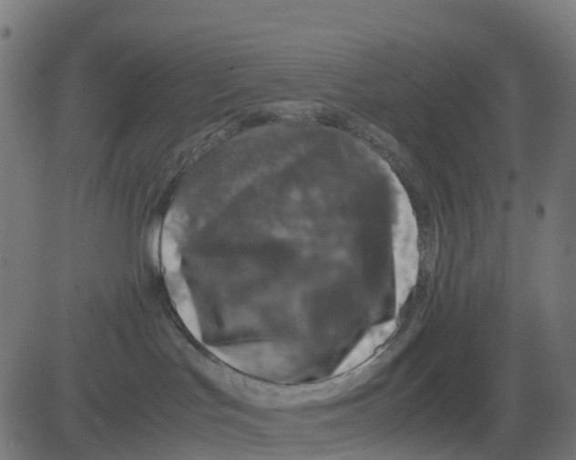 X0000081410047200702092120