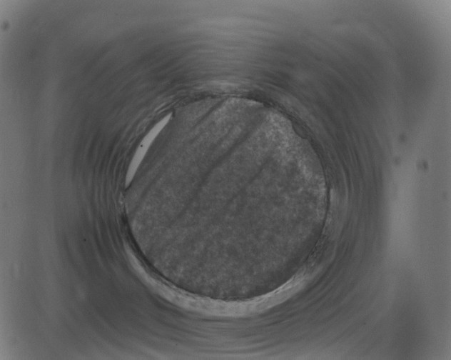 X0000081410048200702092119