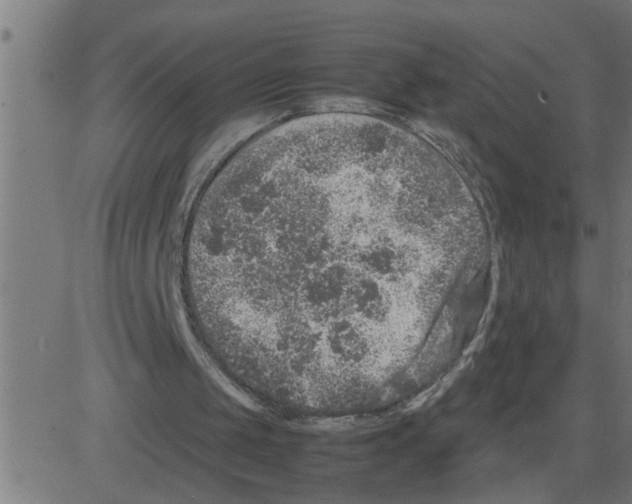 X0000081410049200702092119