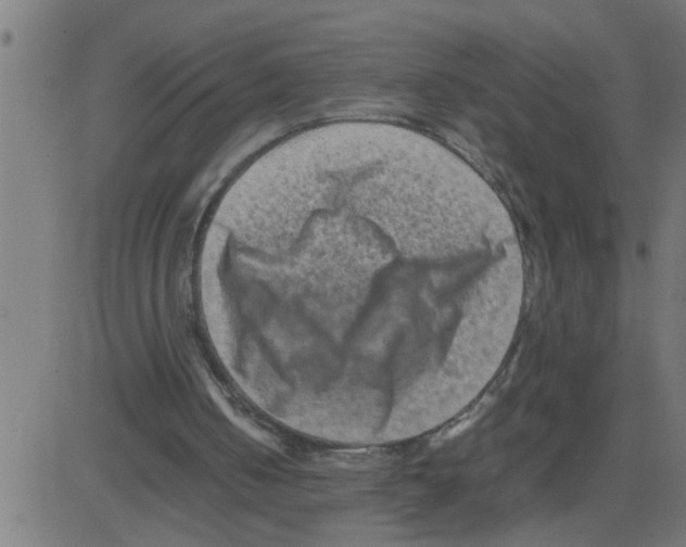 X0000081410050200702092119