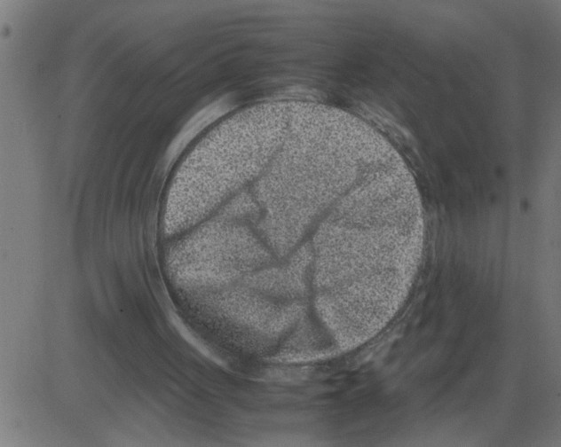 X0000081410051200702092119