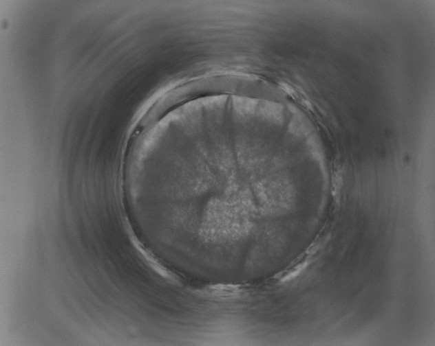 X0000081410052200702092119