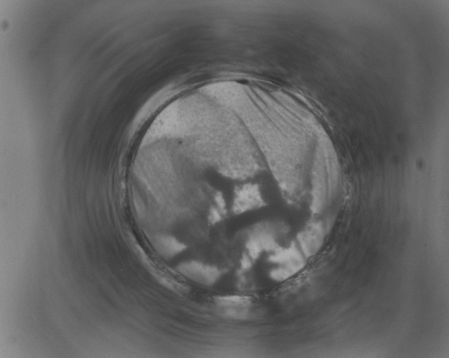 X0000081410053200702092119