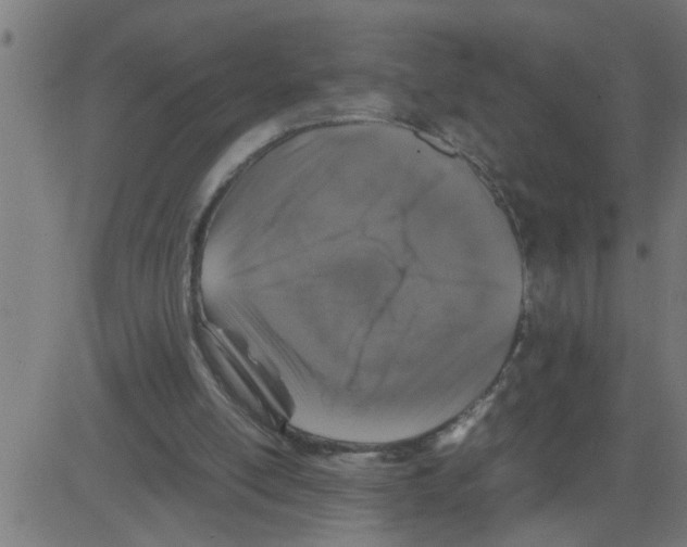 X0000081410054200702092119