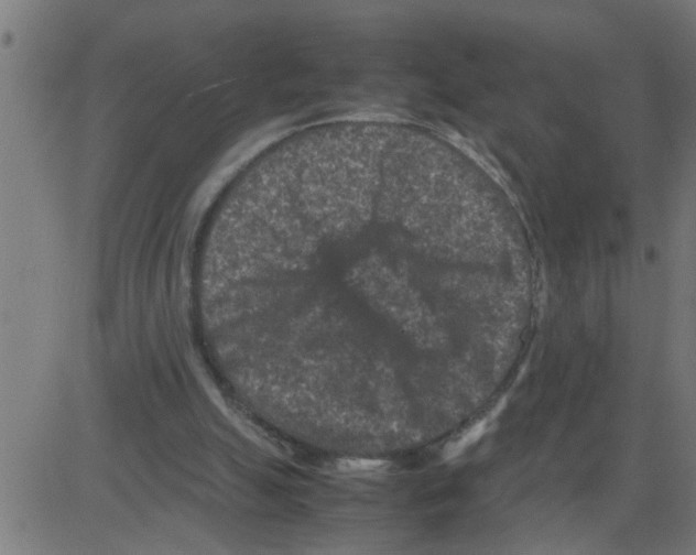 X0000081410055200702092119