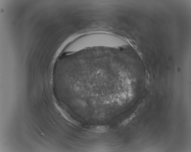 X0000081410056200702092119