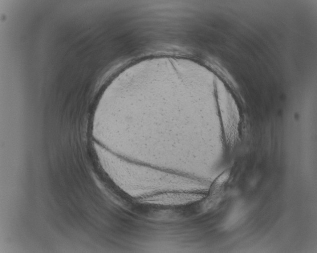 X0000081410058200702092119