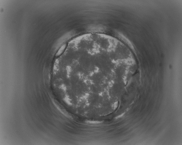 X0000081410059200702092119