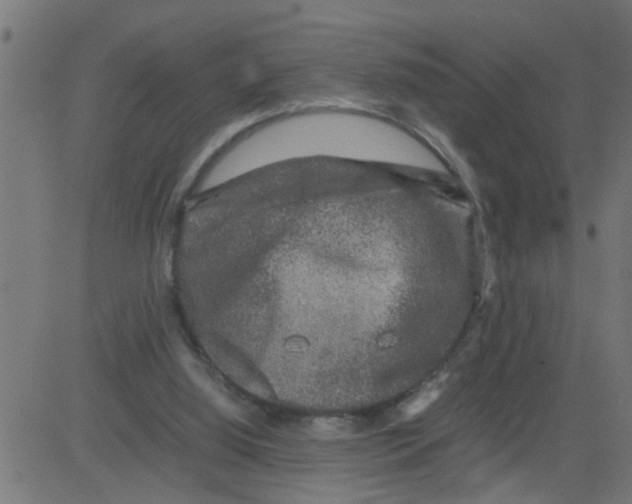 X0000081410060200702092119