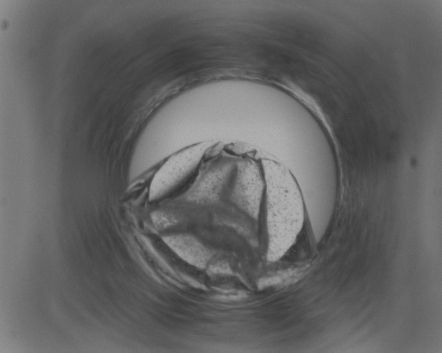 X0000081410061200702092119