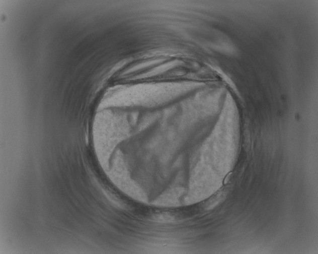 X0000081410062200702092119