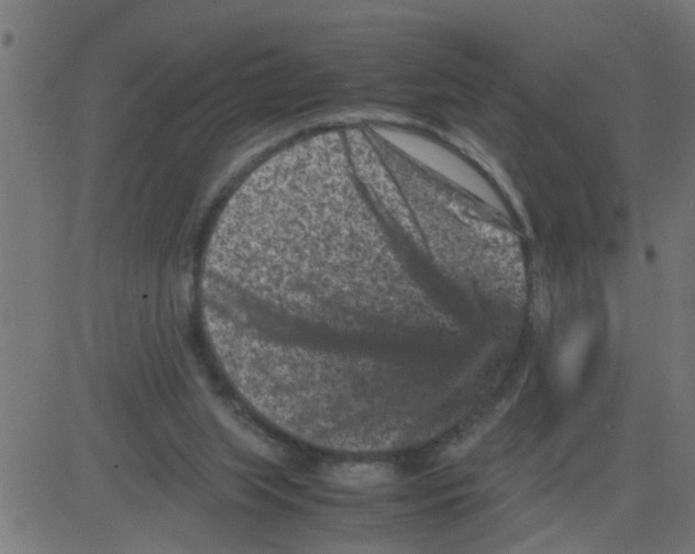 X0000081410063200702092119