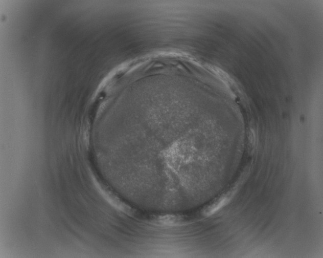 X0000081410064200702092119