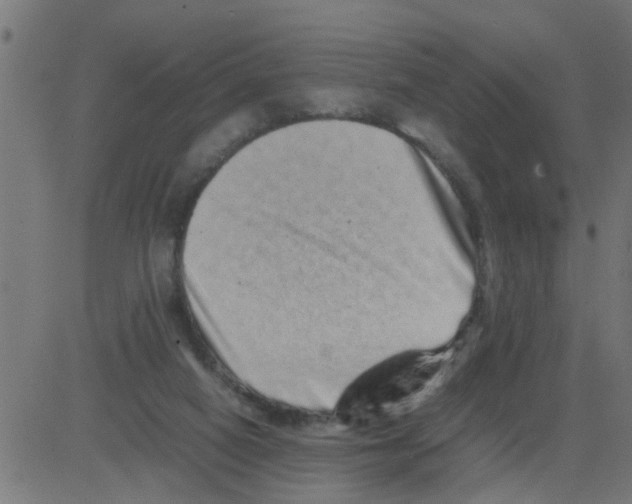 X0000081410066200702092119