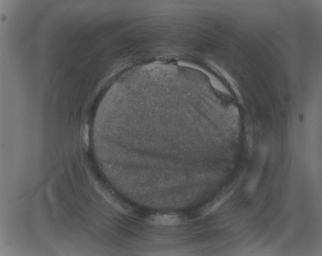 X0000081410067200702092119