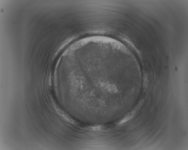 X0000081410068200702092119