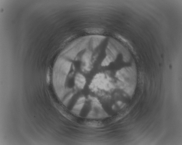 X0000081410069200702092119