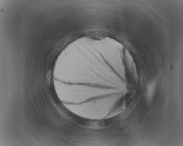 X0000081410070200702092119