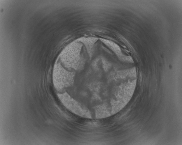 X0000081410071200702092119