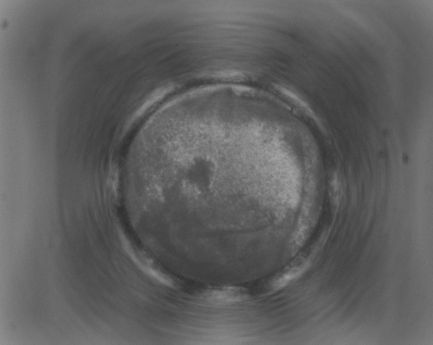 X0000081410072200702092119