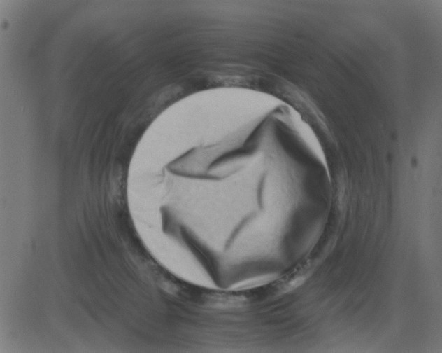 X0000081410073200702092119