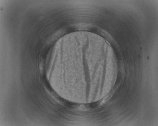 X0000081410074200702092119