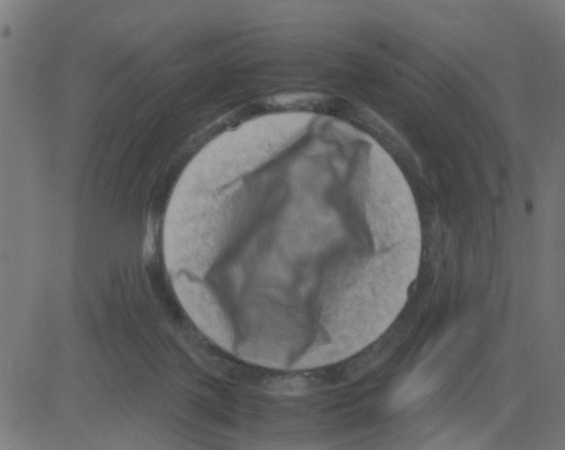 X0000081410075200702092119