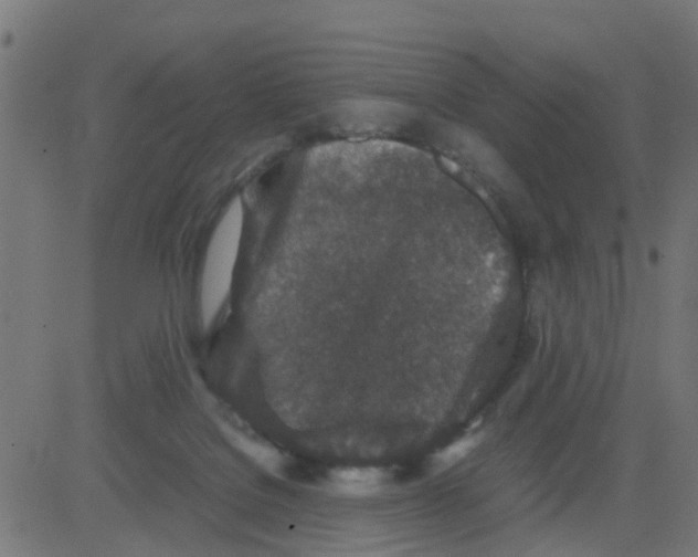 X0000081410076200702092119