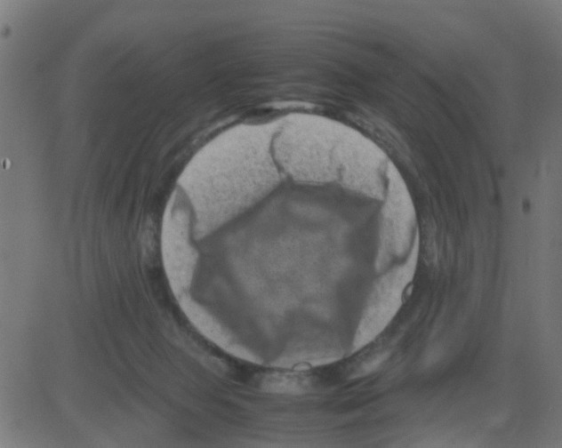 X0000081410077200702092119