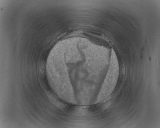 X0000081410078200702092119