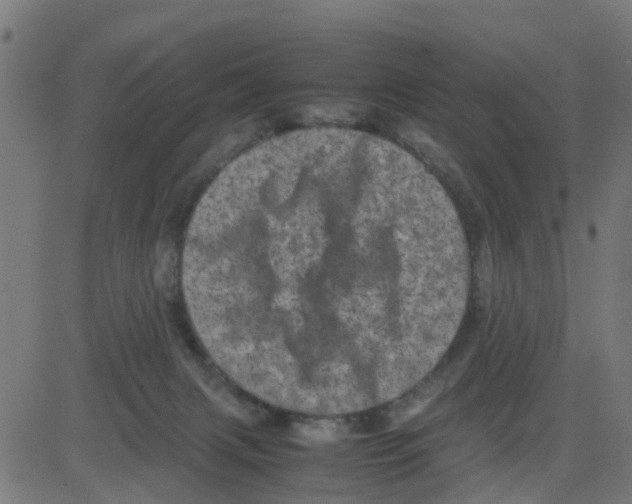 X0000081410079200702092119