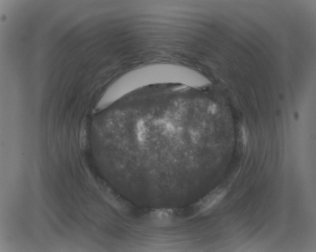 X0000081410080200702092119