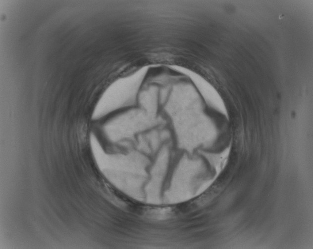 X0000081410081200702092119