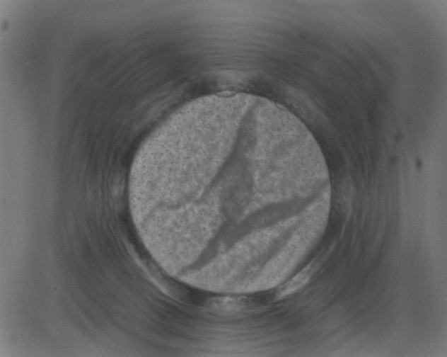 X0000081410082200702092119