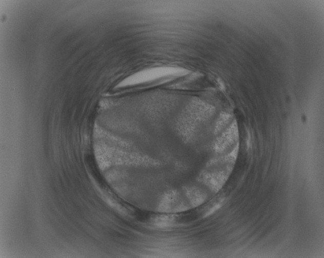 X0000081410084200702092119