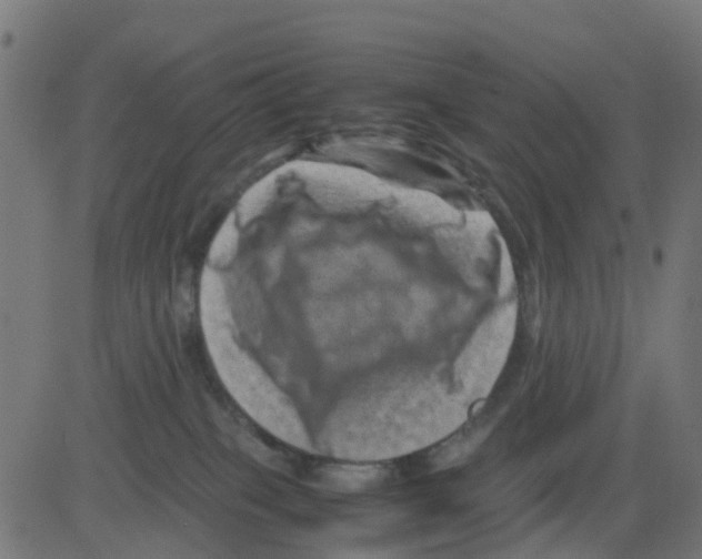 X0000081410085200702092119