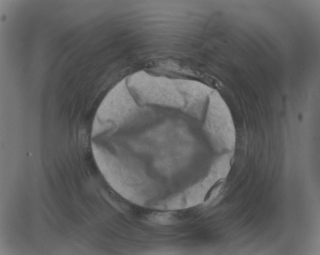 X0000081410086200702092119