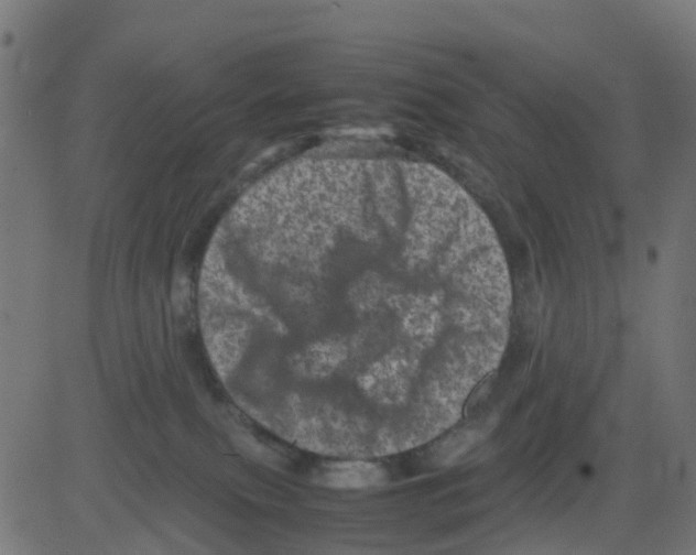 X0000081410087200702092119