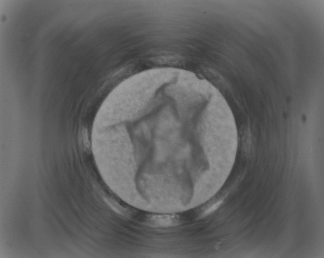 X0000081410089200702092119