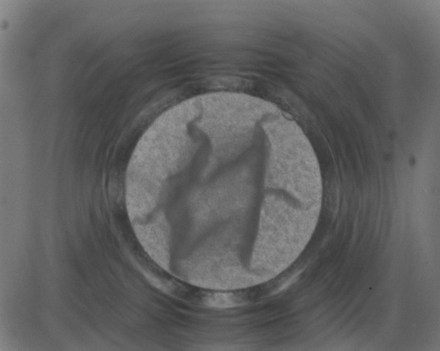 X0000081410091200702092119