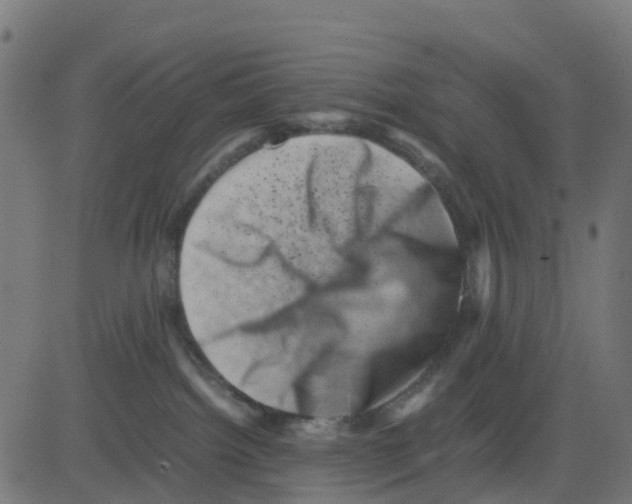 X0000081410092200702092119