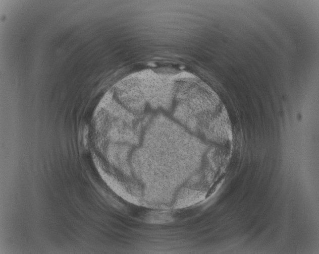 X0000081410094200702092119