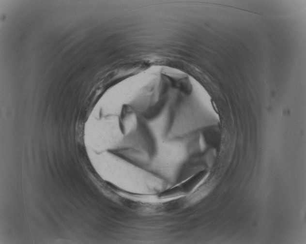 X0000081410096200702092119