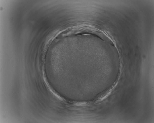 X0000081410097200702092119