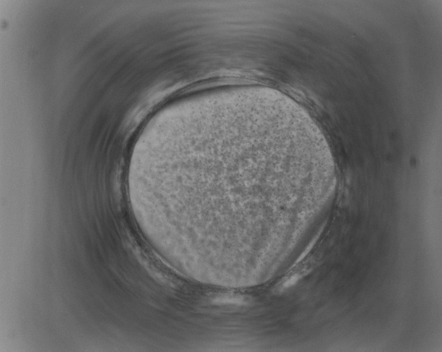 X0000081410098200702092119