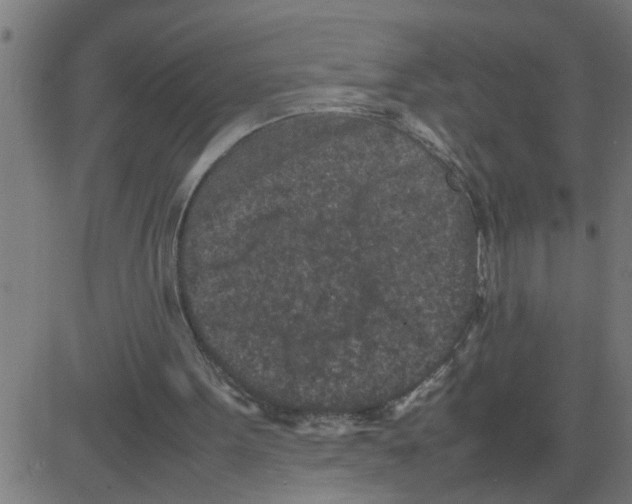 X0000081410099200702092119