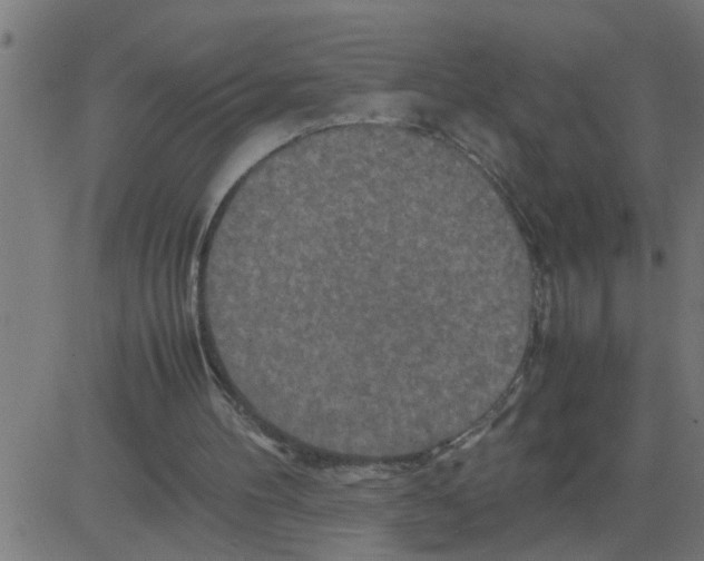 X0000081410100200702092119