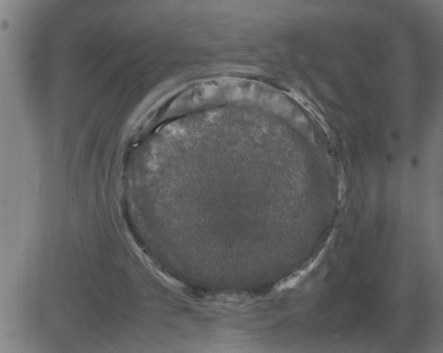 X0000081410101200702092119